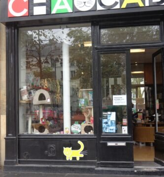 Can You Eat Goldfish