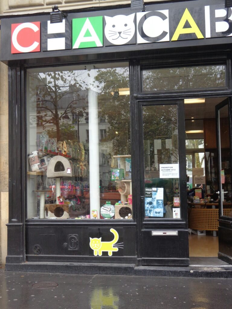 Can You Eat Goldfish